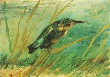 Haga click para ver la imagen ampliada 1886 martin-pecheur.jpg